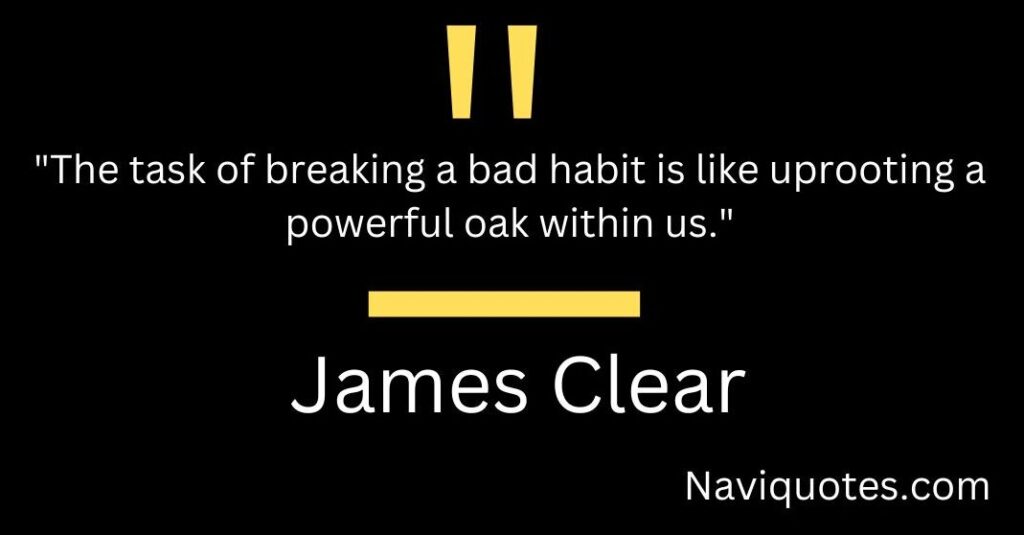 James Clear Best Quotes