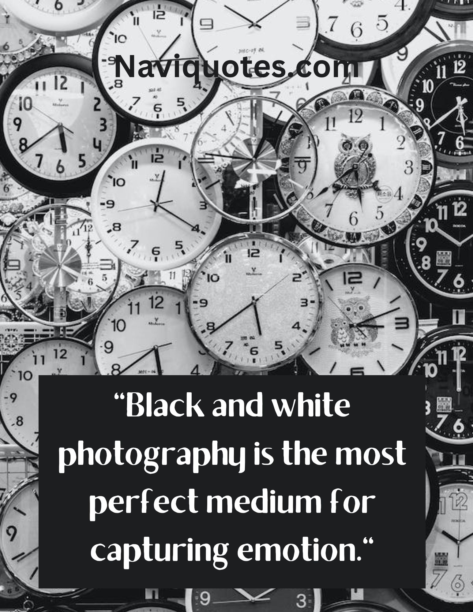 150 Instagram Captions for Black and White Photos