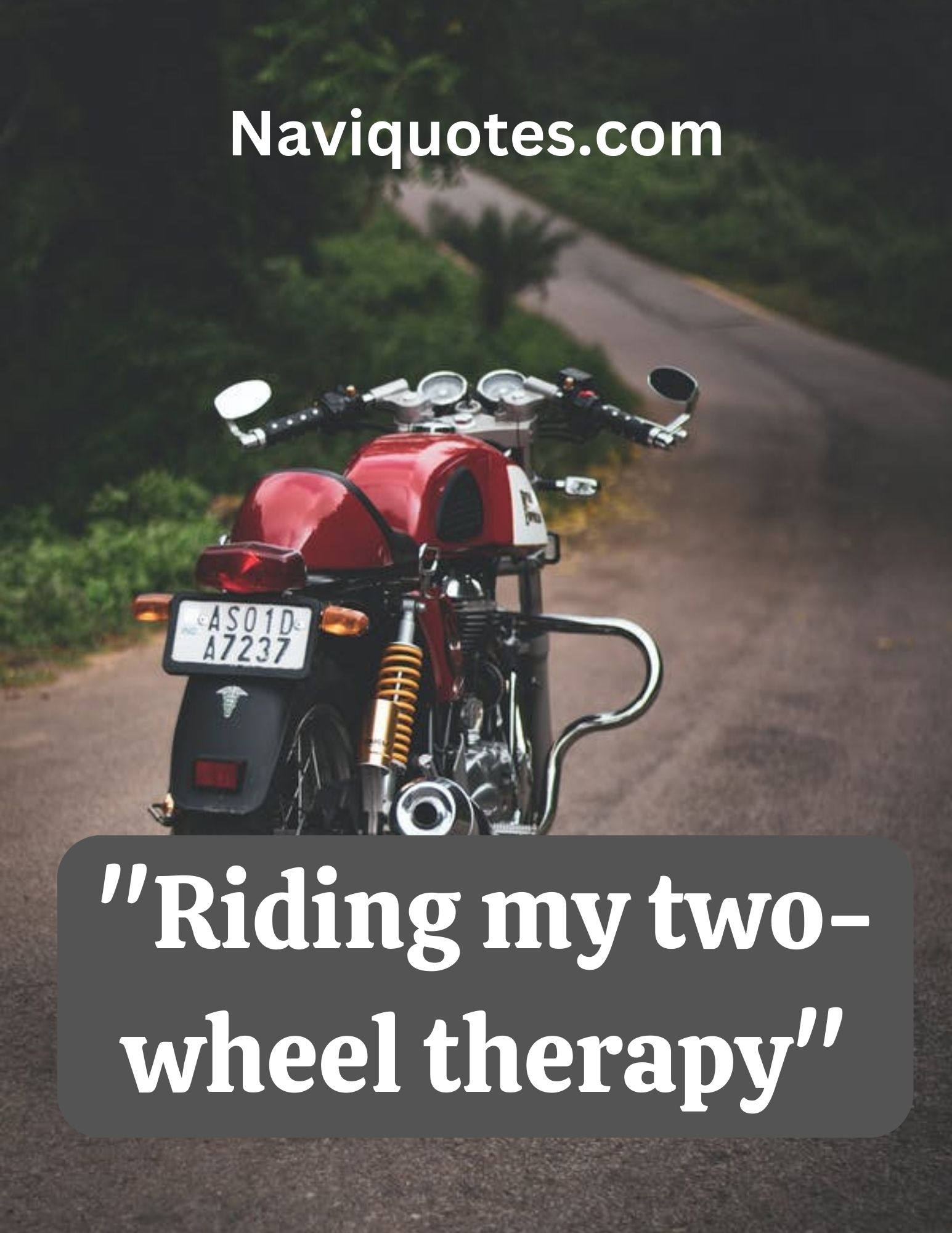 240 Bike Captions for Instagram