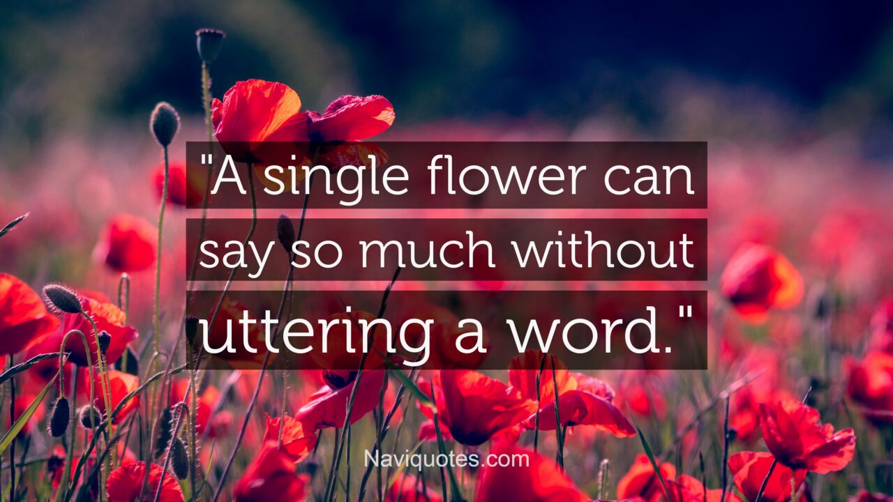 140 Flower Quotes and Captions for Instagram