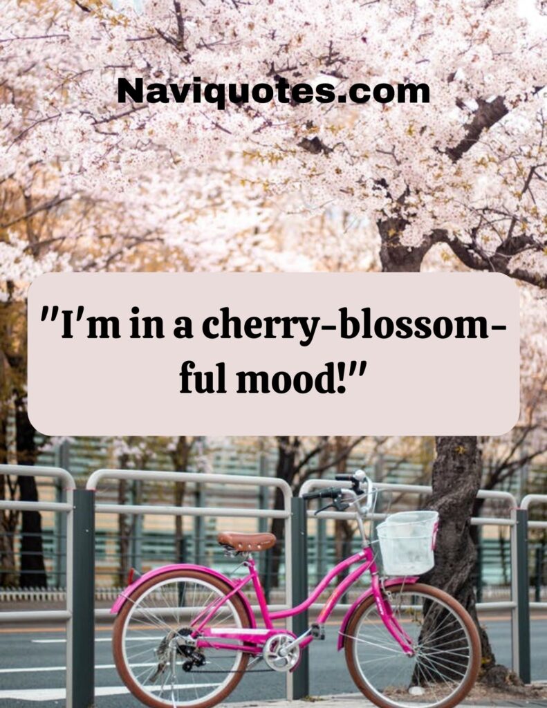 Beautiful Cherry Blossom Captions
