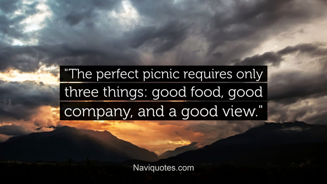 100 Best Picnic Captions for Instagram