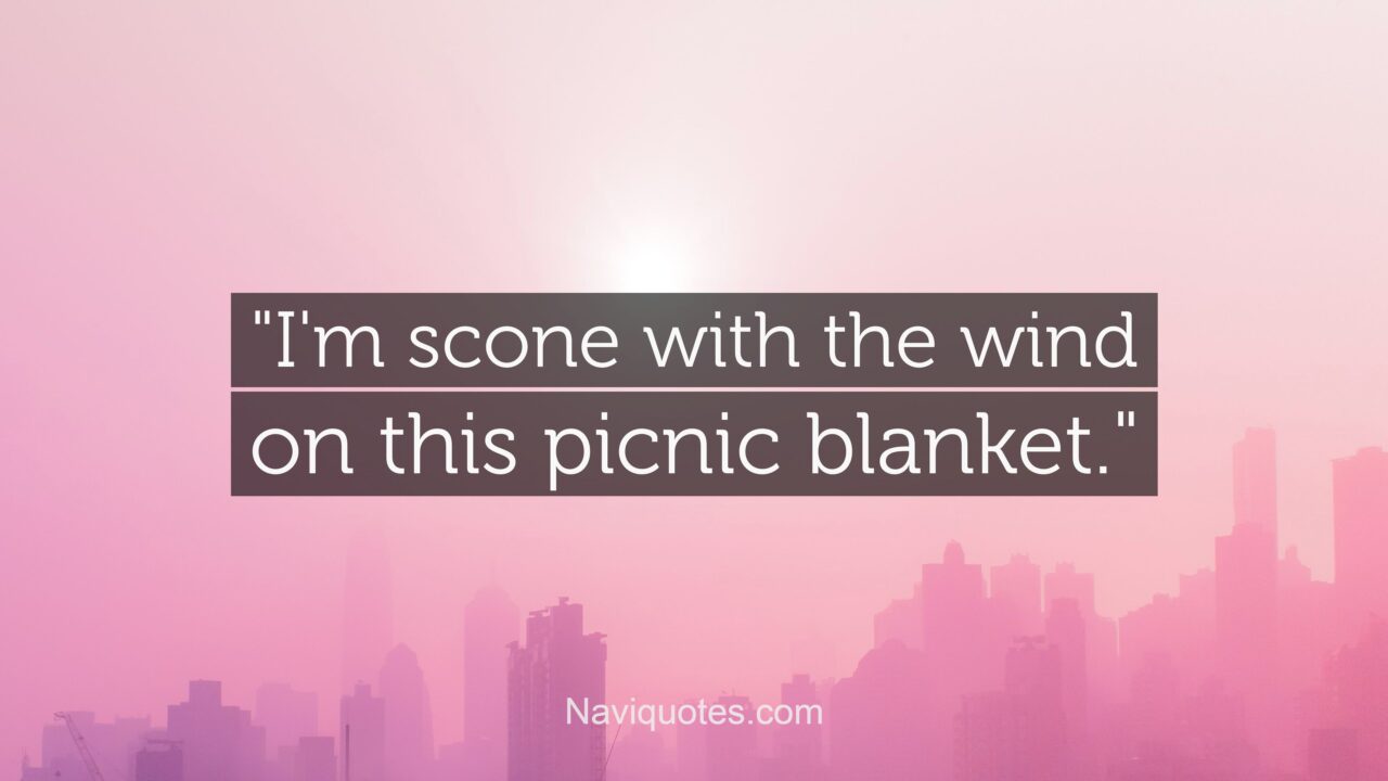 100 Best Picnic Captions for Instagram
