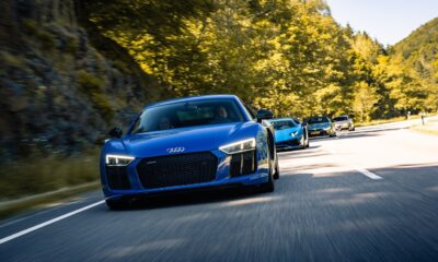 Car Passion Quotes