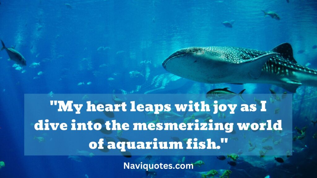 Aquarium Fish Lover Quotes 