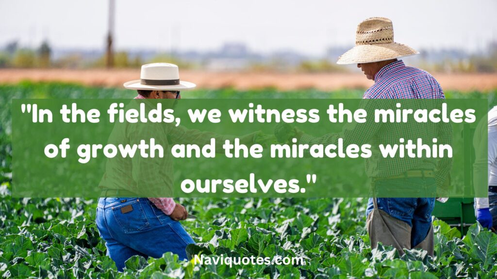 Farm Quotes for Instagram 